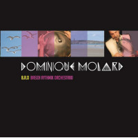 CD DOMINIQUE MOLARD - BREIZH RYTHMIK ORCHESTRA - PARUTION JUILLET 2017