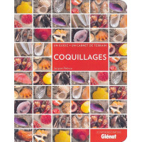 COQUILLAGES - Un guide + un carnet de terrain