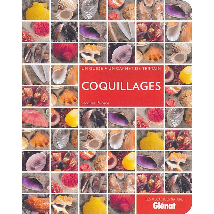 COQUILLAGES - Un guide + un carnet de terrain