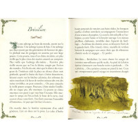 PETIT GRIMOIRE DES LÉGENDES DE BROCÉLIANDE