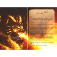 PETIT GRIMOIRE DES LÉGENDES DES DRAGONS