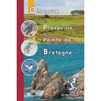 OISEAUX EN PRESQU’ÎLE ET POINTE DE BRETAGNE