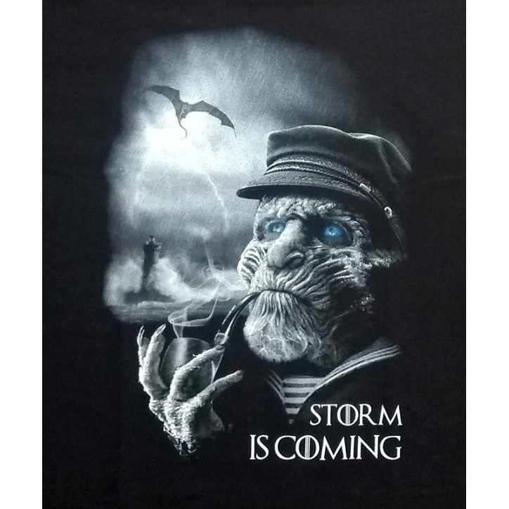 TEE SHIRT STORM IS COMING