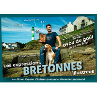 LES EXPRESSIONS BRETONNES ILLUSTRÉES