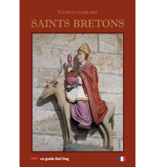 UN PETIT GUIDE DES SAINTS BRETONS