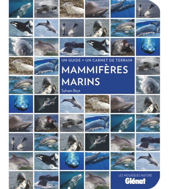 Mammifères marins (Un guide + un carnet de terrain) - Glénat
