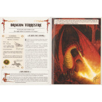 LE GUIDE SECRET D'UN CHASSEUR DE DRAGONS