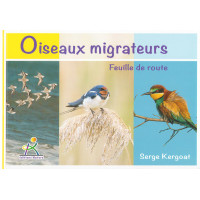 OISEAUX MIGRATEURS, Feuille de route