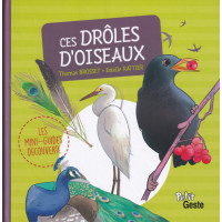 CES DRÔLES D'OISEAUX