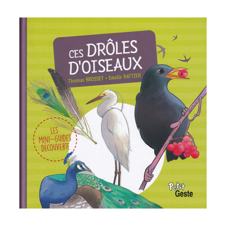 CES DRÔLES D'OISEAUX