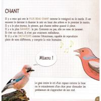 CES DRÔLES D'OISEAUX