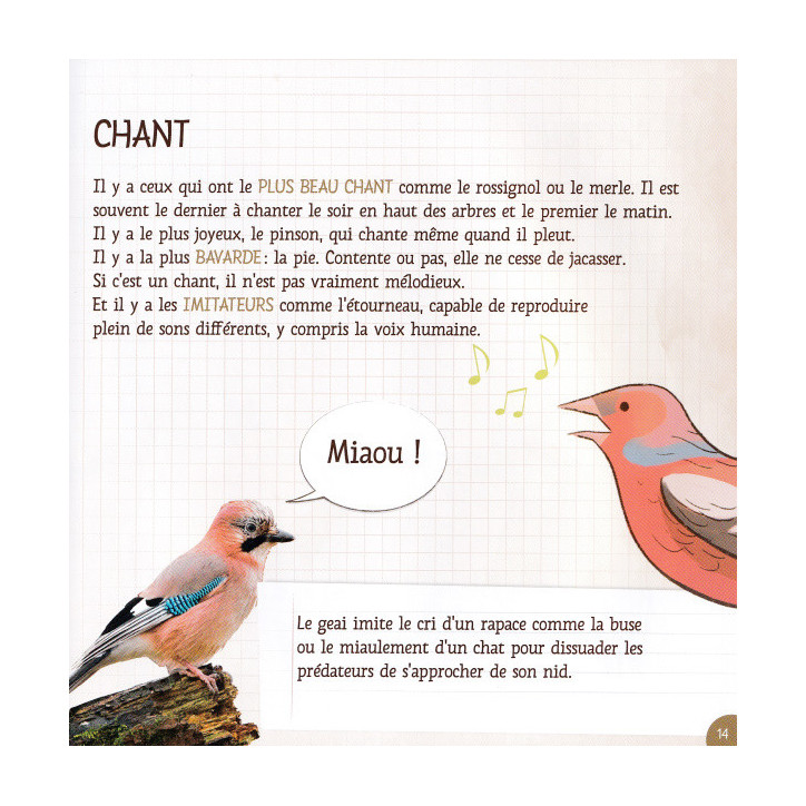 CES DRÔLES D'OISEAUX