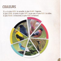 CES DRÔLES D'OISEAUX