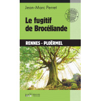 LE FUGITIF DE BROCÉLIANDE