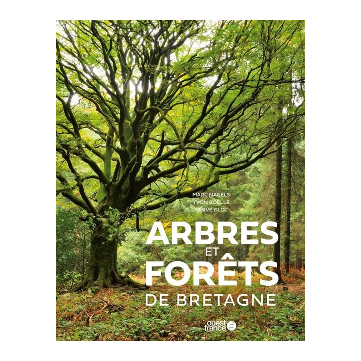 ARBRES ET FORÊTS DE BRETAGNE