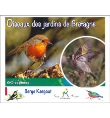 OISEAUX DES JARDINS DE BRETAGNE, 60 espèces