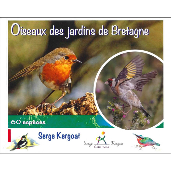 OISEAUX DES JARDINS DE BRETAGNE, 60 espèces