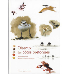 OISEAUX DES CÔTES BRETONNES