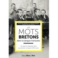 LES MOTS BRETONS DANS LA LANGUE FRANÇAISE, Ce que le français doit au breton à tranvers 170 mots