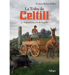 LA TRIBU DE CELTILL, Tome 2 : Septentrion, roi de la gaffe