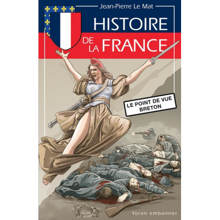 HISTOIRE DE LA FRANCE, Le point de vue breton