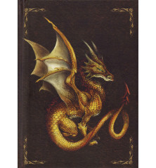 CARNET DE NOTES - Relié (160 pages) Dragon