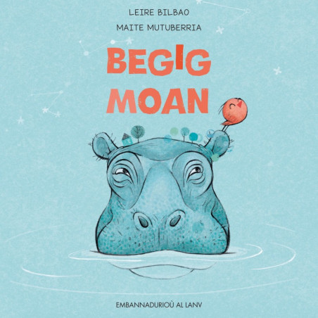 BEGIG MOAN